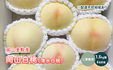 桃 ご家庭用 岡山 白桃（ 清水白桃 ） 1.5キロ箱（6玉前後） もも モモ 岡山県産 国産 フルーツ 果物