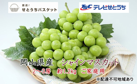 ぶどう 2025年 先行予約 ご家庭用 シャイン マスカット 2〜3房 約1.2kg ブドウ 葡萄 岡山県産 国産 フルーツ 果物 直送!せとうちバスケット