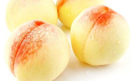 岡山匠の白桃 約1.5kg 5〜6玉 犬塚農園 岡山県産 岡山白桃 ギフト[2026年6月下旬〜7月下旬発送予定][岡山県産 一宮 みずみずしい 季節の味 旬をお届け フレッシュ 晴れ国 おかやま 果物大国 もぎたて便 犬塚農園から届け 当日出荷 倉敷市 おすすめ 人気]