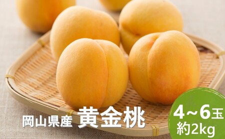 桃 2025年 先行予約 黄金桃 約2kg(4〜6玉) もも モモ 岡山県産 国産 フルーツ 果物 セット ギフト