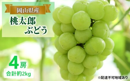 ぶどう [2025年 早期受付] 桃太郎ぶどう4房 合計約2kg ブドウ 葡萄 岡山県産 国産 フルーツ 果物 ギフト