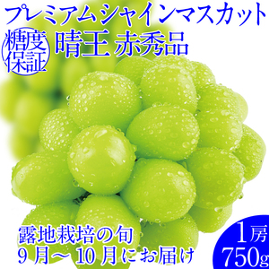 2025年予約受付中 プレミアムシャインマスカット晴王1房約750g 人気 岡山県産 赤秀品 種無し 皮ごと食べる みずみずしい フレッシュ 晴れの国 おかやま 果物大国 ハレノフルーツ