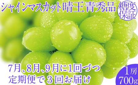 2025年予約受付中[3回定期便]シャインマスカット1房 約700g 7月8月9月に出荷 人気 岡山県産 種無し 皮ごと食べる みずみずしい フレッシュ 晴れの国 おかやま 果物大国 ハレノフルーツ