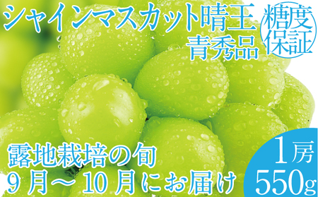 2025年 先行予約受付中 シャインマスカット晴王 1房 約550g 岡山県産 種無し 皮ごと食べる みずみずしい 甘い フレッシュ 瀬戸内 晴れの国 おかやま 果物大国 ハレノフルーツ