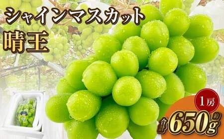 岡山県産 シャインマスカット 晴王 1房 約650g【2026年9月上旬-10月下旬 発送予定】｜種無し 皮ごと食べる フレッシュ 先行予約 ハレノフルーツ