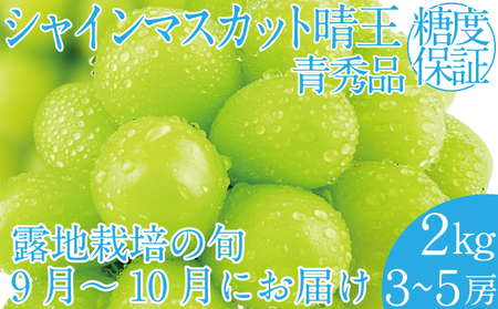 202年 先行予約受付中 シャインマスカット晴王 約2kg(3〜5房)岡山県産 種無し 皮ごと食べる みずみずしい 甘い フレッシュ 瀬戸内 晴れの国 おかやま 果物大国 ハレノフルーツ