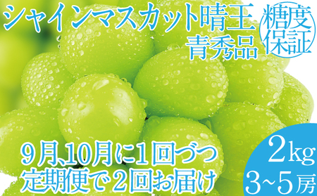 2025年 先行予約受付中[2回定期便]シャインマスカット晴王 約2kg(3〜5房)岡山県産 種無し 皮ごと食べる みずみずしい 甘い フレッシュ 瀬戸内 晴れの国 おかやま 果物大国 ハレノフルーツ