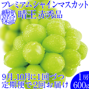 2025年予約受付中[2回定期便] プレミアムシャインマスカット晴王 1房約600g 人気 岡山県産 赤秀品 種無し 皮ごと食べる みずみずしい 晴れの国 おかやま 果物大国 ハレノフルーツ