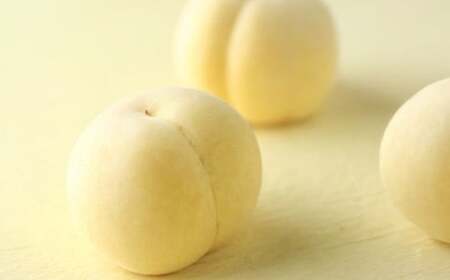 RY ~ 6 iv1.2kgj y2025N11{`2026N1{\z    ʕ ʎ t[c  R q~s ①