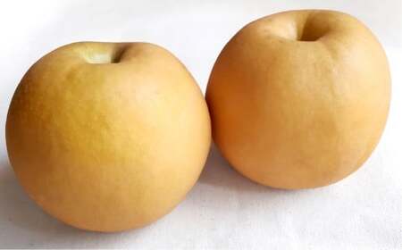  3`6 4kg y2025N11{`12{\z  Ȃ iV ʕ t[c R q~s