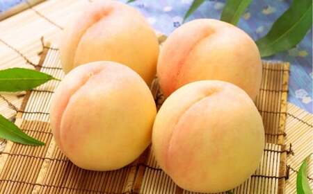 岡山白桃 4〜5玉(合計1.0kg以上) もも 桃 モモ 白桃 フルーツ 果物 果実 化粧箱 贈答品 贈り物 岡山県 倉敷市[2026年7月上旬〜8月上旬まで順次発送予定]