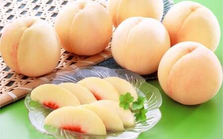 R 8`10ʁiv2.0kgȏj     t[c ʕ ʎ ϔ i 蕨 R q~sy2026N7{`8{܂ŏ\z