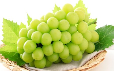 VC}XJbg 1[i700gȏj }XJbg Ԃǂ  uhE  ʕ t[c R q~sy2026N9{`10{܂ŏ\z