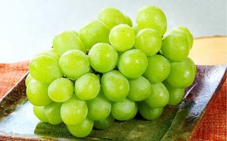 マスカット･オブ･アレキサンドリア 2〜3房(合計1.0kg以上) マスカット ぶどう 葡萄 ブドウ 果物 フルーツ 岡山県 倉敷市[2026年8月下旬〜9月下旬まで順次発送予定]