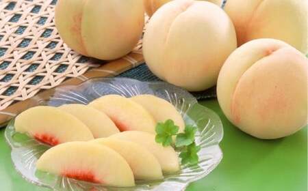 岡山白桃(品種:白鳳/加納岩白桃)5~7玉 合計1.5kg以上 もも 桃 モモ 白桃 フルーツ 果物 果実 化粧箱 贈答品 贈り物 岡山県 倉敷市[2026年7月上旬〜7月下旬まで順次発送予定]