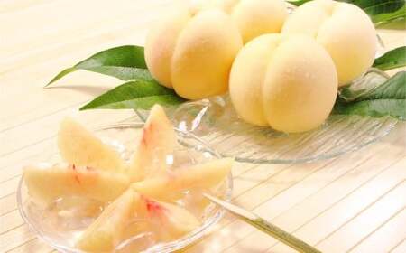 RiiFܖ^j5`7 v1.5kgȏ     t[c ʕ ʎ ϔ i 蕨 R q~sy2026N7{`8{܂ŏ\z