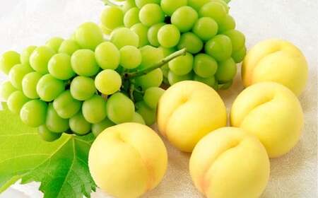 桃 ぶどう 岡山白桃5玉とシャインマスカット2房 詰合せ 合計2.7kg以上 もも モモ 白桃 ブドウ 葡萄 フルーツ 果物 果実 詰め合わせ セット 岡山県 倉敷市[2026年7月上旬〜8月上旬まで順次発送予定]