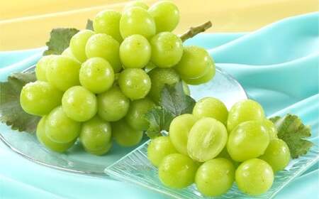 VC}XJbg 2[iv1.4kgȏj }XJbg Ԃǂ  uhE  ʕ t[c R q~sy2026N9{`10{܂ŏ\z