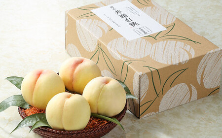 井頭栄果園 白桃 約1.3kg[2026年7月上旬〜8月上旬まで順次発送予定][もも 果物 フルーツ 国産 人気 おすすめ 岡山県 倉敷市]
