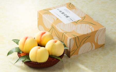 䓪hʉ  2kg y2026N7{`8{܂ŏ\zy   ʕ t[c Y lC  R q~sz