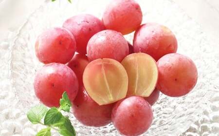 岡山県産 桃太郎ぶどう 1房 ・ クイーンニーナ 1房 (合計約1kg) [2026年8月上旬〜11月上旬まで順次発送予定] ぶどう ブドウ 葡萄 果物 果実 フルーツ 種なし 大粒 セット 岡山県 倉敷市 冷蔵