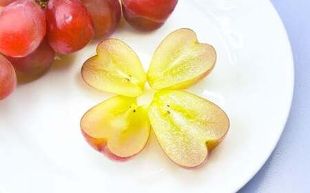 岡山県産 マイハート 1房 (約500g) [2026年9月上旬〜11月上旬まで順次発送予定] ぶどう 葡萄 ブドウ フルーツ 果物 果実 ハート型 種なし 皮ごと 岡山県 倉敷市 冷蔵