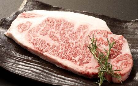 [XXe[Li300gj     Xe[L Ⓚ R q~s