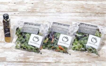 yOrtolanozt@[XgNX@H񋟂̃T_Zbg T_ hbVO Zbg  R q~s