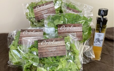 yOrtolanozt@[XgNX̃T_ZhbVOZbg S-1 T_ hbVO lߍ킹 Zbg  R q~s