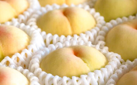 �������� 2�L���y2026�N7����{�`7�����{ �����\��z