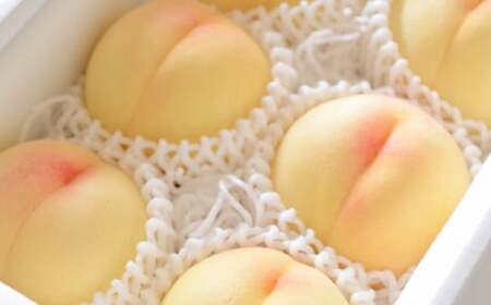 �y���I�z�������� 2�L���y2026�N7����{�`7�����{ �����\��z