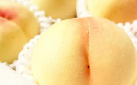 �y���I�z�������� 3.8�L���y2026�N7����{�`7�����{ �����\��z