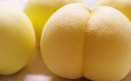 �������� 3.6�L���y2026�N7����{�`7�����{�܂ŏ��������\��z