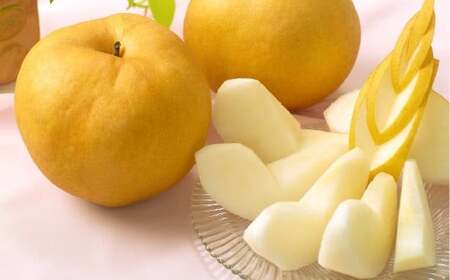  2 v1.8kgȏ  Ȃ iV ʕ t[c R q~sy2026N11{`12{܂ŏ\z