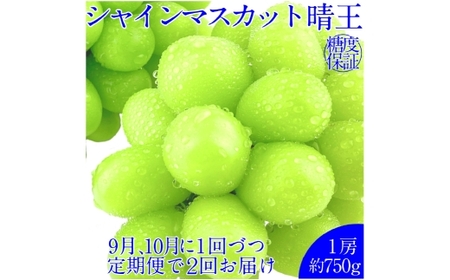 [2回定期便]シャインマスカット 晴王 1房 約750g 2回 定期便 9月・10月に1回ずつ発送 おすすめ 人気[2026年9月上旬発送開始][岡山県産 種無し 皮ごと食べる みずみずしい 甘い フレッシュ 9月〜10月 晴れの国 おかやま ぶどう 葡萄 マスカット 果物大国 彩美菜果 岡山県 倉敷市 おすすめ 人気]