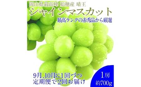  【2回定期便】プレミアム シャインマスカット 晴王 1房 約700g 2回 定期便 9月・10月に1回ずつお届け 種無し  皮ごと食べる  フレッシュ  旬の美味しさ【2026年9月上旬発送開始】【シャインマスカット マスカット ぶどう 葡萄 岡山県産   種無し 皮ごと食べる みずみずしい 9月～10月お届け フレッシュ 晴れの国おかやま 果物大国 船穂産 贈答品  岡山県 倉敷市】