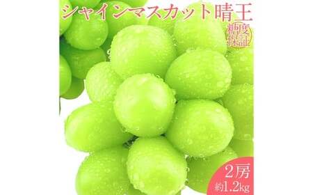 晴王 シャインマスカット晴王 2房 約1.2kg 【先行予約：2026年7月上旬～8月下旬発送予定】 岡山県産 種無し 皮ごと食べる みずみずしい 甘い フレッシュ 温室栽培 晴れの国 おかやま 果物大国 満天フルーツ 冷蔵 岡山県 倉敷市