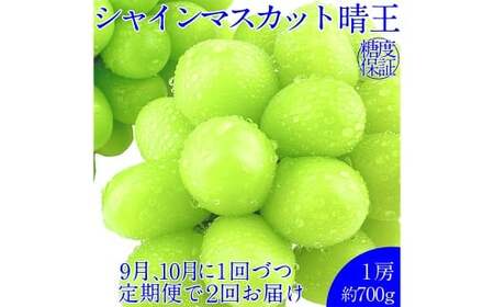 晴王 シャインマスカット晴王 1房 約700g [先行予約:2026年9月上旬〜10月下旬発送予定2回定期便] 岡山県産 種無し 皮ごと食べる みずみずしい 甘い フレッシュ 糖度保証 クール発送 瀬戸内 晴れの国 おかやま 果物大国 満天フルーツ 冷蔵 岡山県 倉敷市