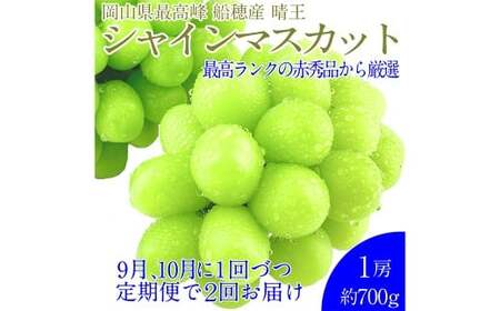 赤秀ぶどうプレミアム シャインマスカット 晴王 1房 約700g [先行予約:2026年9月上旬〜10月下旬発送予定2回定期便] 船穂産 赤秀品以上 皮ごと食べる みずみずしい 糖度保証 岡山県産 満天フルーツ 定期便 冷蔵 岡山県 倉敷市