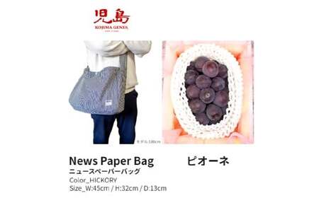 [年2回定期便] 家庭用 ピオーネ 2房(1房約530g以上)+ NEWS PAPER BAG(Hickory) フルーツ 果物 ブドウ ぶどう 葡萄 国産 ギフト 贈答 [2026年6月上旬〜9月下旬まで発送予定]