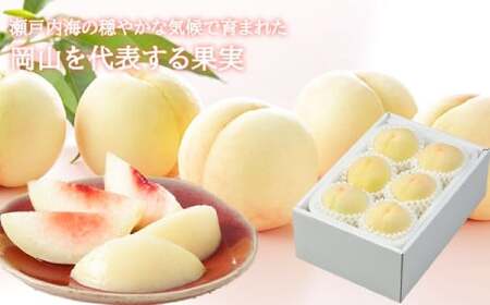 岡山白桃 エース 4〜6玉 約1kg 岡山県産 [2026年7月上旬〜8月下旬まで順次発送予定] モモ もも 桃 白桃 果物 フルーツ 岡山県 倉敷市