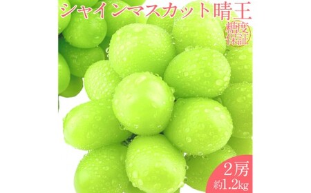 シャインマスカット 晴王 2房 約1.2kg【2026年7月下旬～8月下旬 発送予定】 【シャインマスカット マスカット ぶどう 葡萄 岡山県産 種無し 皮ごと食べる みずみずしい フレッシュ 温室栽培 晴れの国おかやま 果物大国 彩美菜果 岡山県 倉敷市 おすすめ 人気 】