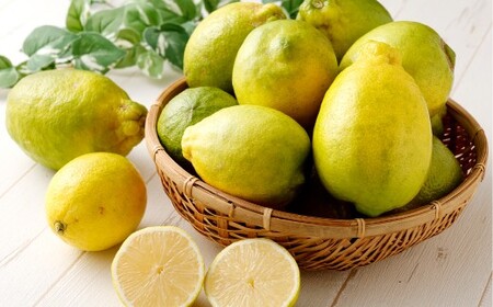 [訳あり]晴れの国レモン(家庭用)6.0kg以上 [2026年11月上旬〜12月上旬発送] 減農薬 サイズ不揃い 防腐剤・防カビ剤・ワックス不使用 国産 レモン 訳あり 家庭用 岡山県 倉敷市