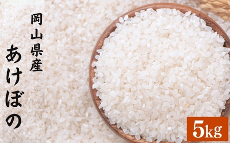 [令和7年産] あけぼの 5kg 精米 [2026年8月下旬まで発送予定] 5kg×1袋 お米 米 コメ ご飯 ごはん ゴハン 白ご飯 白米 1袋 アミロース