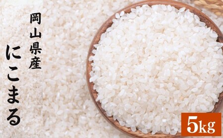 [令和7年産] にこまる 5kg 精米 [2026年8月下旬まで発送予定]5kg×1袋 お米 米 コメ ご飯 ごはん ゴハン 白ご飯 白米 1袋 モチモチ ツヤツヤ