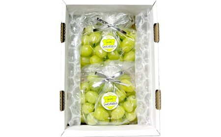 [訳あり]家庭用 シャインマスカット 摘み落とし 1kg以上[2026年9月上旬〜10月上旬発送予定]果物 フルーツ くだもの マスカット ぶどう ブドウ 葡萄 ジューシー 甘い 濃厚 冷蔵