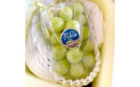 [訳あり]家庭用 シャインマスカット 800g以上 1房入り[2026年9月上旬〜10月上旬発送予定]果物 フルーツ くだもの マスカット ぶどう ブドウ 葡萄 ジューシー 甘い 濃厚 冷蔵