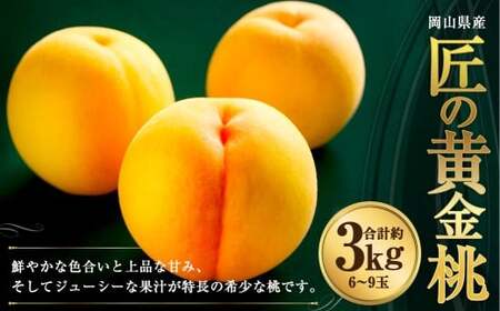 岡山県産 黄色い桃 匠の黄金桃 約3kg箱 6〜9玉 [2026年8月下旬〜9月下旬発送予定] 黄金桃 桃 もも モモ ピーチ 黄色 黄金 フルーツ 果物 果実 くだもの 国産 冷蔵 果汁 果肉