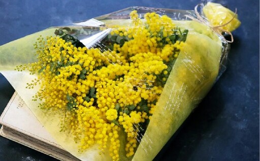 [倉敷市栽培]春限定!ミモザとユーカリの花束/フレッシュ[2027年2月下旬〜3月下旬発送予定][ハンドメイド ミモザリース リース ドライフラワー ミモザ お花 花 岡山県 倉敷市 おすすめ 人気]