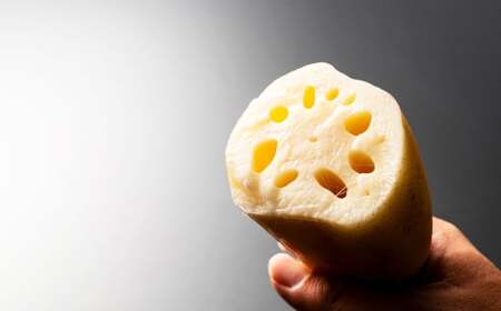 連島れんこん 贈答用 1本もの 5kg [2025年9月上旬-2026年4月下旬 発送予定]